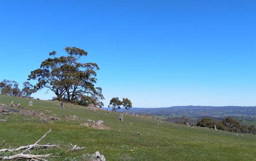 Warren Conservation Park, Mount Crawford, SA