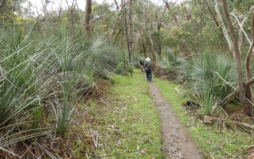 Warren Conservation Park, Mount Crawford, SA