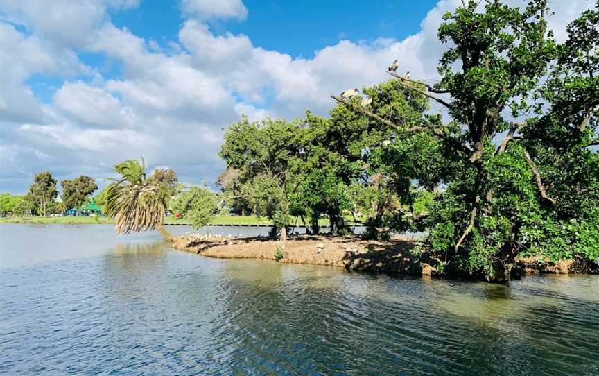 Lake Weeroona, Bendigo, VIC