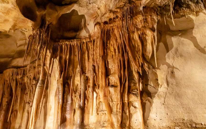 Princess Margaret Rose Caves, Mumbannar, VIC