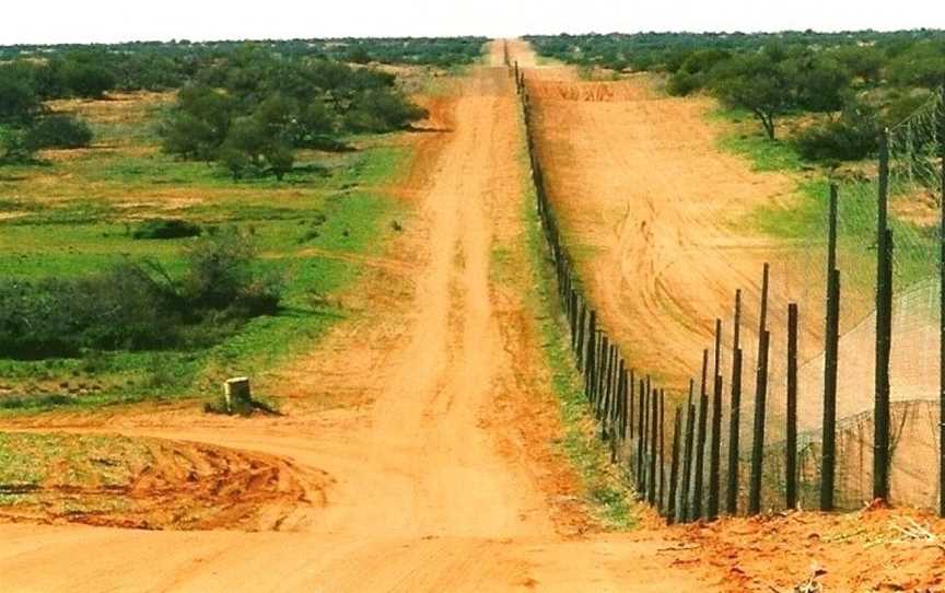 Sturt National Park, Tibooburra, NSW