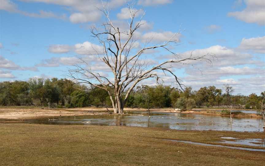 Bowra Sanctuary, Cunnamulla, QLD