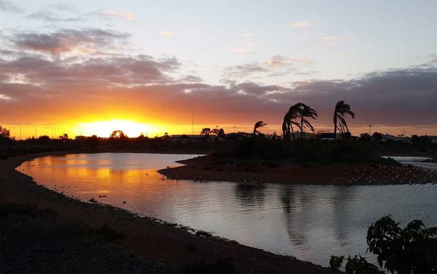 Whyalla Wetlands, Whyalla, SA