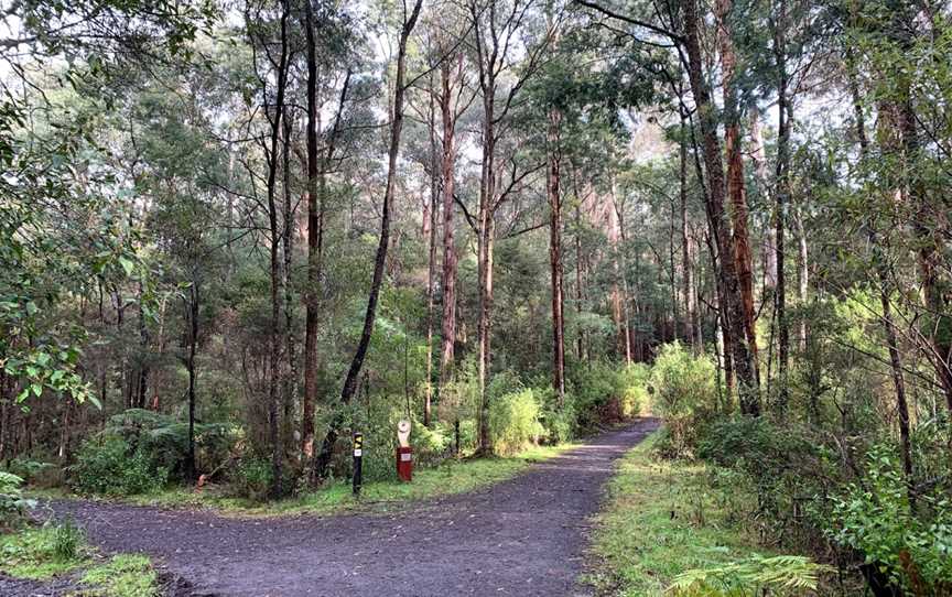 Nangara Reserve, Jindivick, VIC