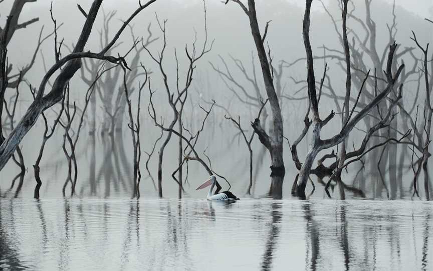 Rocklands Reservoir, Rocklands, VIC