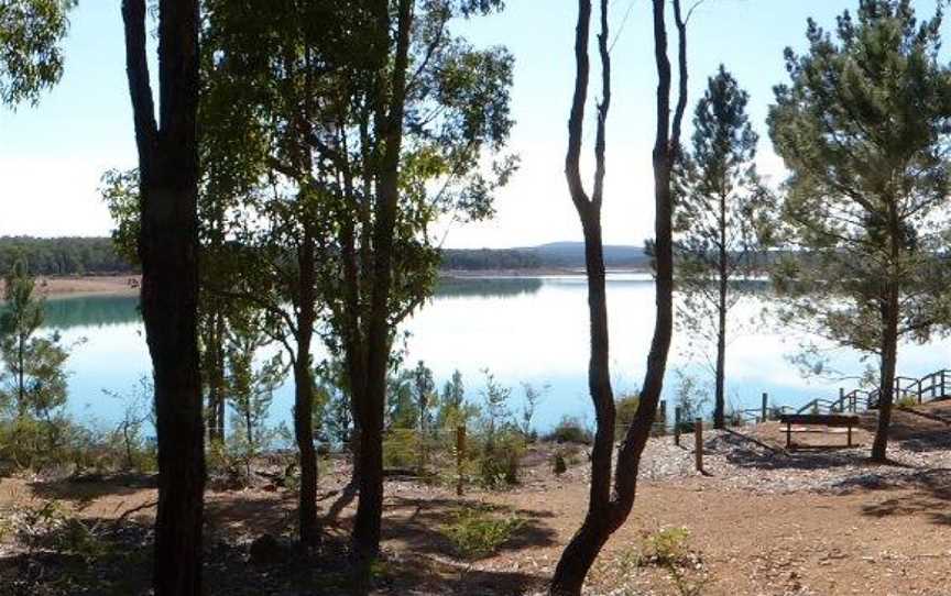 Logue Brook Campground