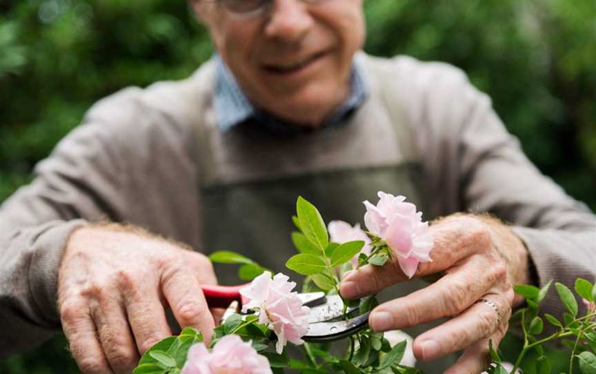 Capel Senior Citizens, Clubs & Classes in Capel