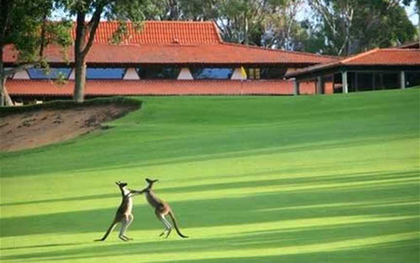 Lake Karrinyup Country Club, Clubs & Classes in Karrinyup