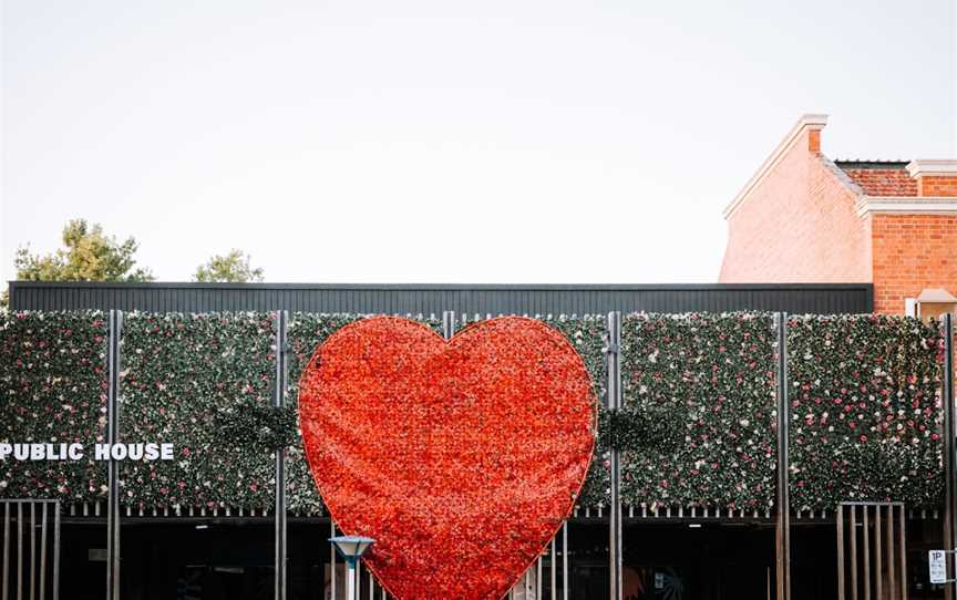 Public House, Albury, NSW