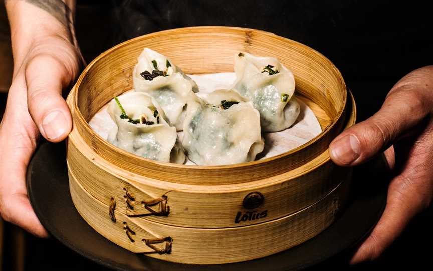 Lotus Dumpling Bar Summer Hill, Summer Hill, NSW