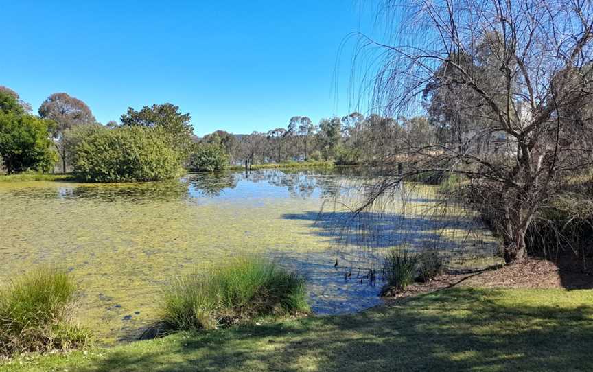 Prendergast's Irish Tavern, Moffatdale, QLD