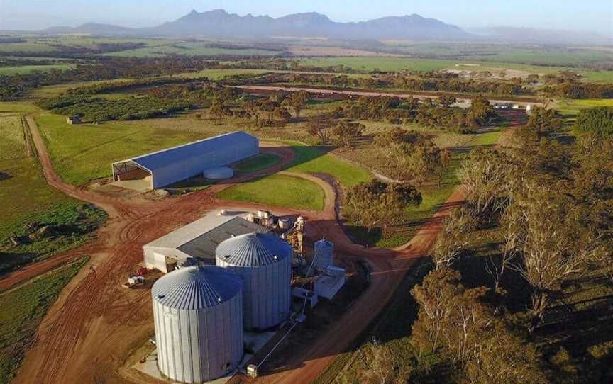 Stirling Ranges Beef, Food & Drink in Porongurup