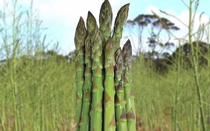 Mount Serenity Asparagus, Food & Drink in Youngs Siding