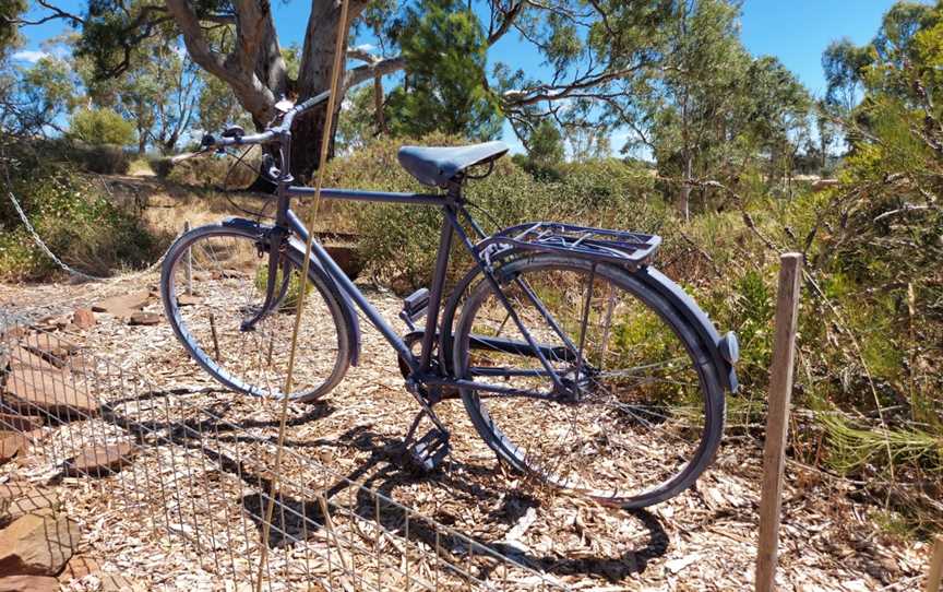 Lyndoch Lavender Farm & Cafe, Lyndoch, SA