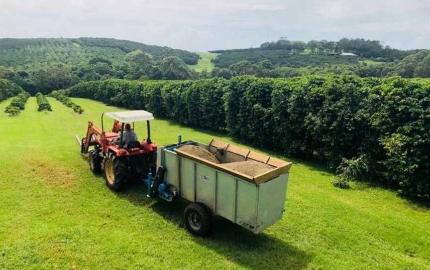 Zentveld's Coffee Farm & Roastery, Newrybar, NSW