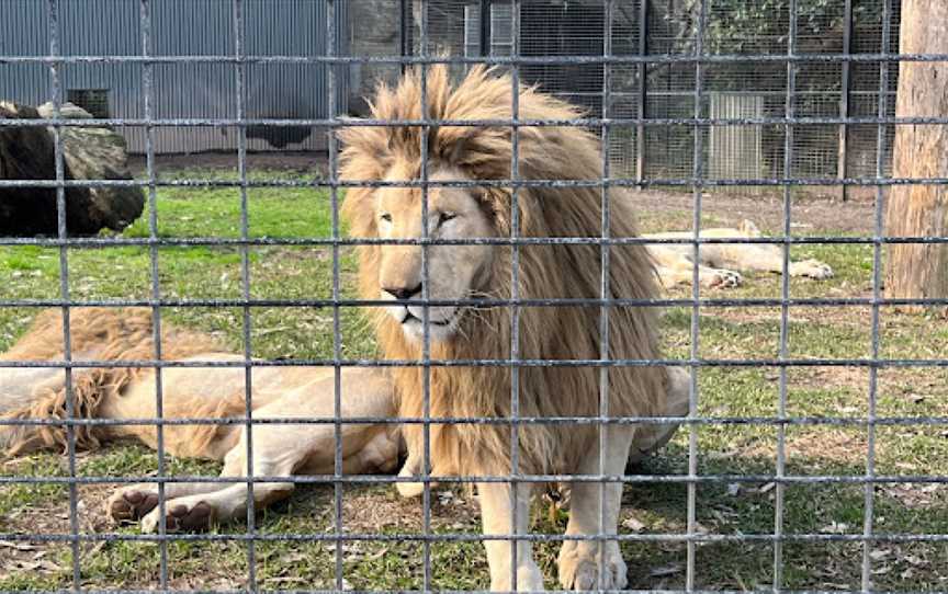 Shoalhaven Zoo And Adventure World, North Nowra, NSW