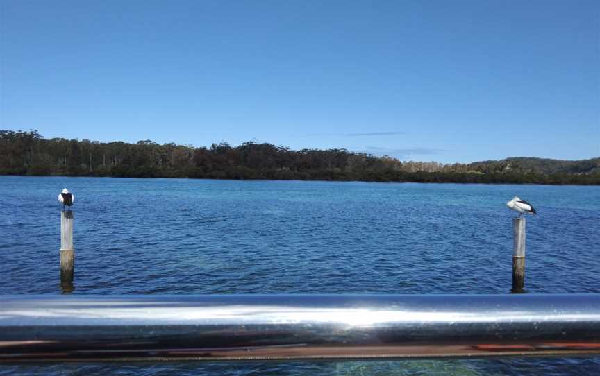 Pelican Shores Café and Marina, Sussex Inlet, NSW