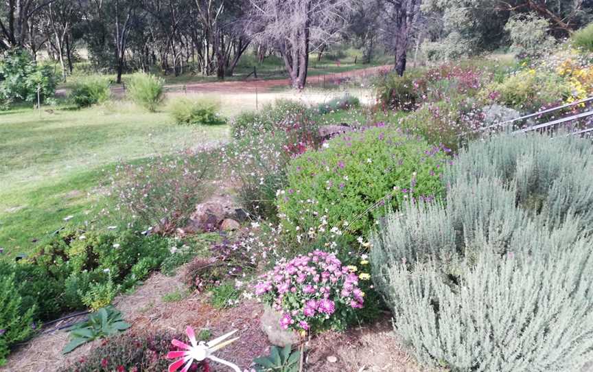 Tibuc Gardens Cafe And Accommodation, Coonabarabran, NSW