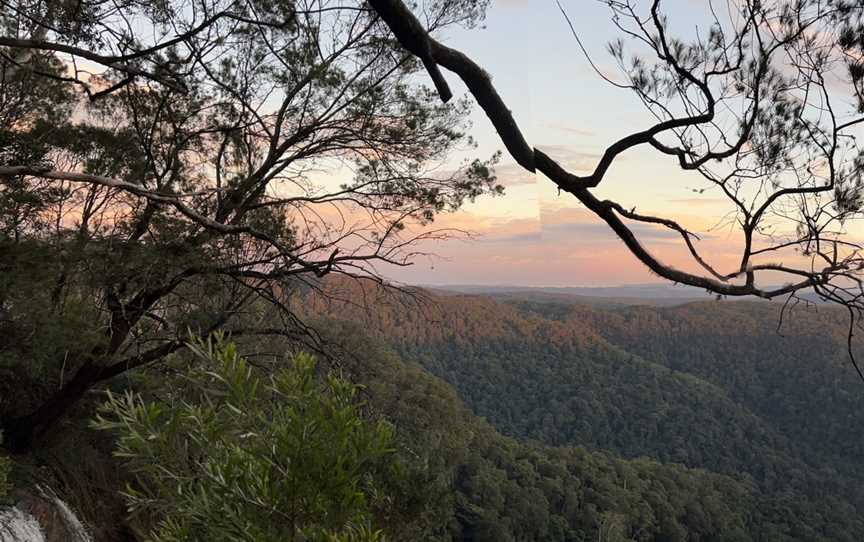 Greenwood Farm & Co, Springbrook, QLD