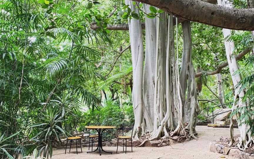 Gardens Tearooms, West Rockhampton, QLD