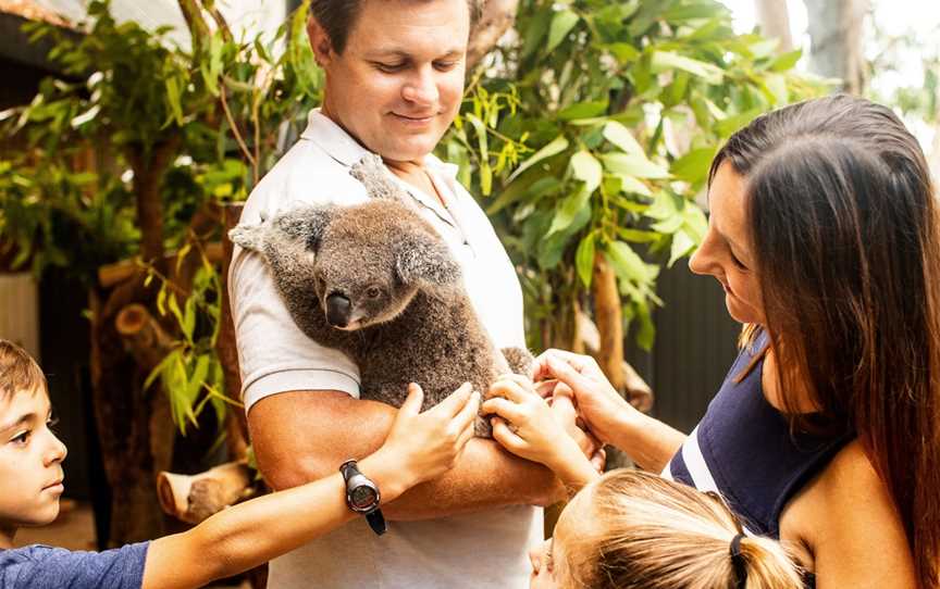 Hamilton Island Wildlife, Whitsundays, QLD