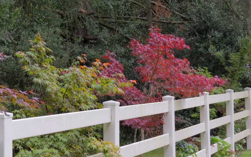 Singing Gardens of CJ Dennis and Tearooms, Toolangi, VIC