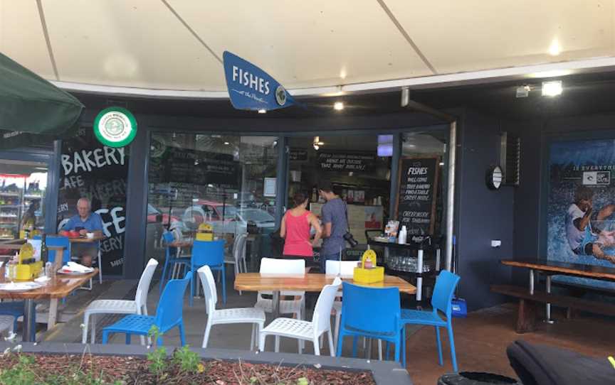 Fishes at the Point, Point Lookout, QLD