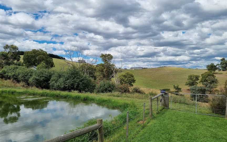 Fondata 1872, Kangaroo Ground, VIC