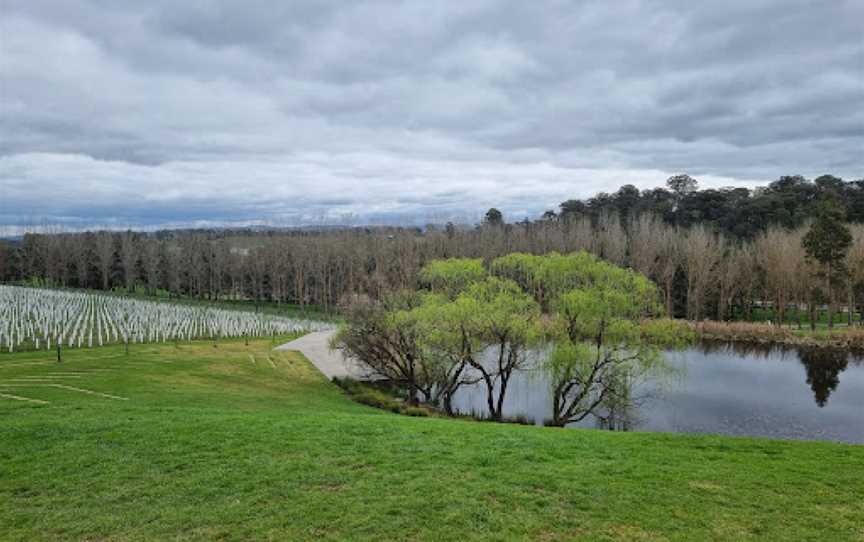 TarraWarra Estate Restaurant & Cellar Door, Yarra Glen, VIC