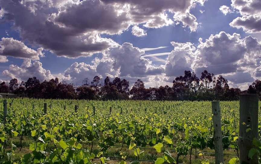 Nicol's Paddock, Waurn Ponds, VIC