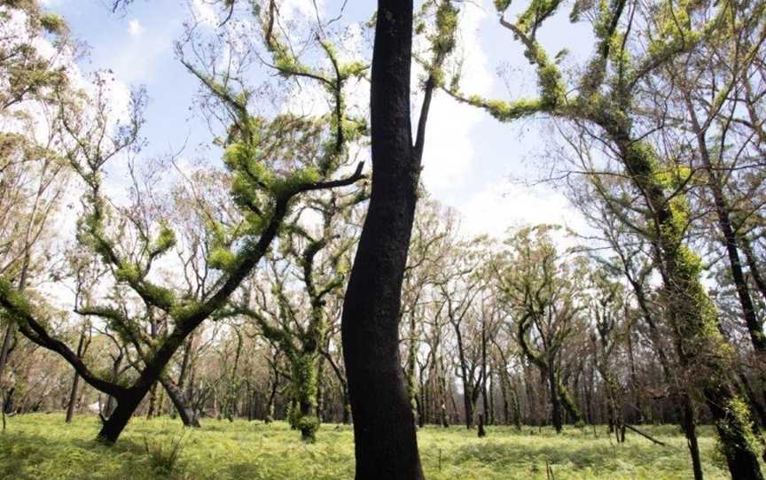 The Oaks Ranch, Mossy Point, NSW