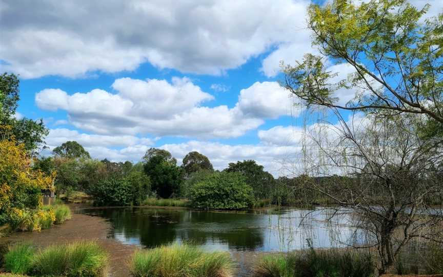 Dusty Hill Vineyard, Moffatdale, QLD