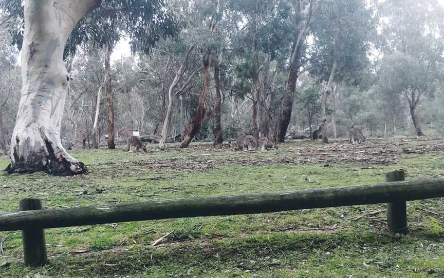 Campbell Park Cafe, Australian Capital Territory, ACT