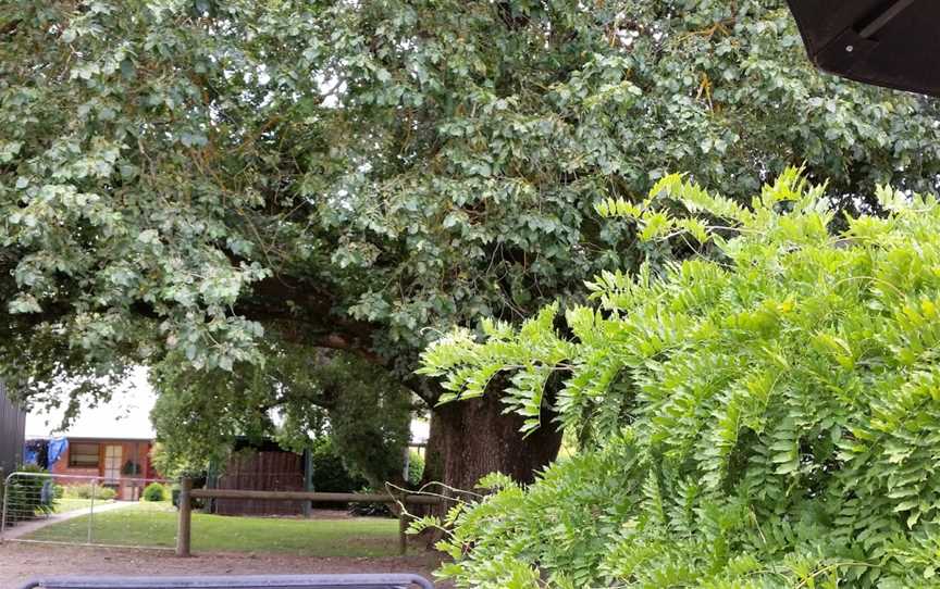 Kenton Valley Cherries and the Cherry Shed Cafe, Gumeracha, SA