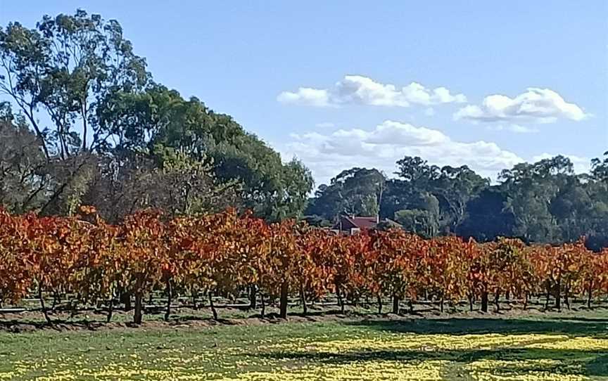 Monkey Nut Café - Barossa Valley, Lyndoch, SA