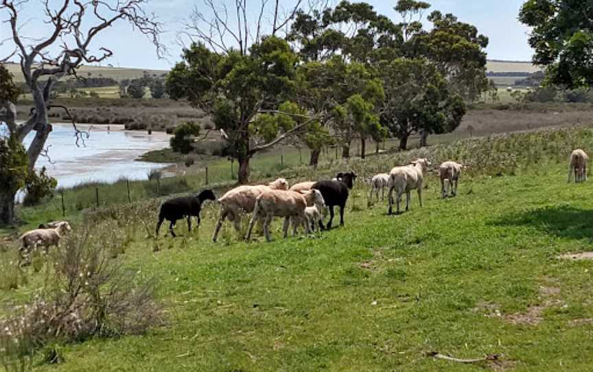 The Sanctuary, Coomunga, SA