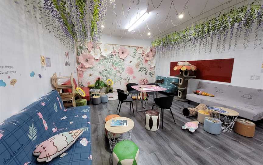 Fancy Meow Cat Cafe, Rotorua, New Zealand