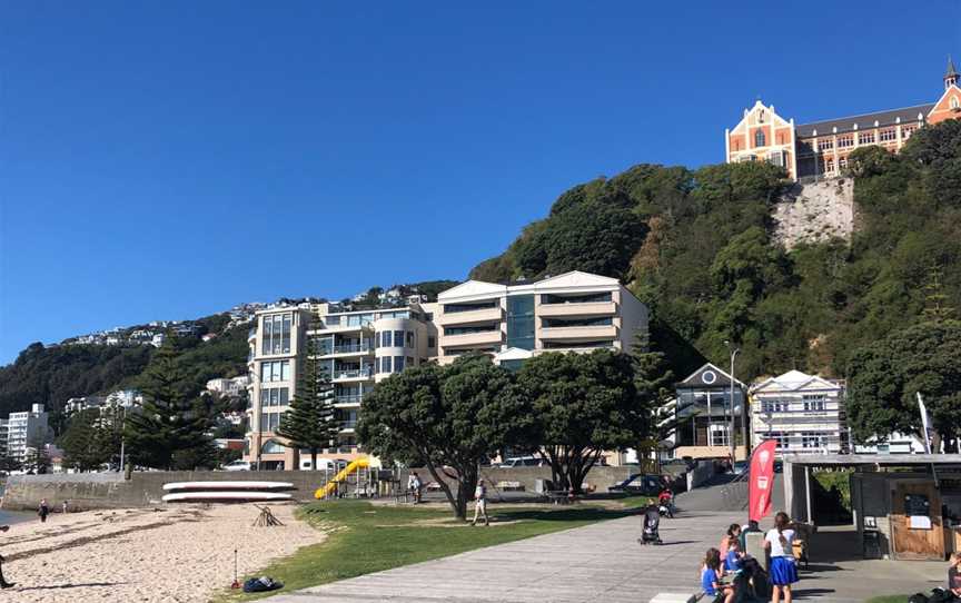 Gelissimo @ Freyberg, Oriental Bay, New Zealand