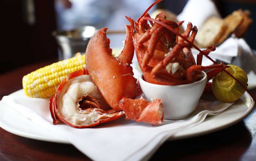 Karaka Lobster, Kaikoura, New Zealand