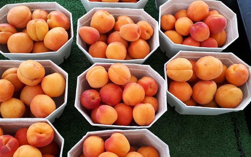 Lowes Orchard, Brightwater, New Zealand