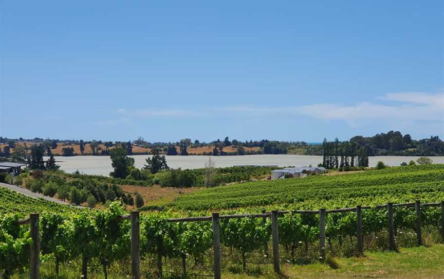 Rimu Grove Cellar Door and Wine Bar, Mapua, New Zealand