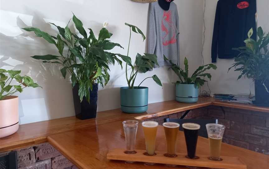 Shortjaw Brewing, Westport, New Zealand