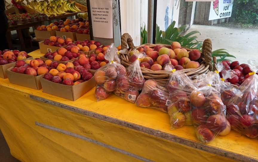 Taste Of Summer, Bay View, New Zealand