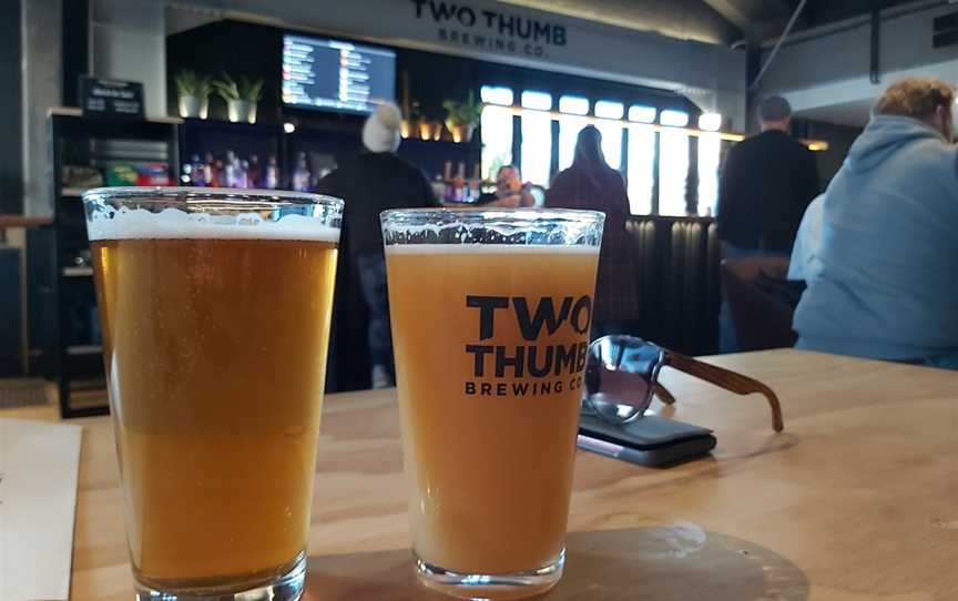 Two Thumb Brewing on Colombo, Sydenham, New Zealand