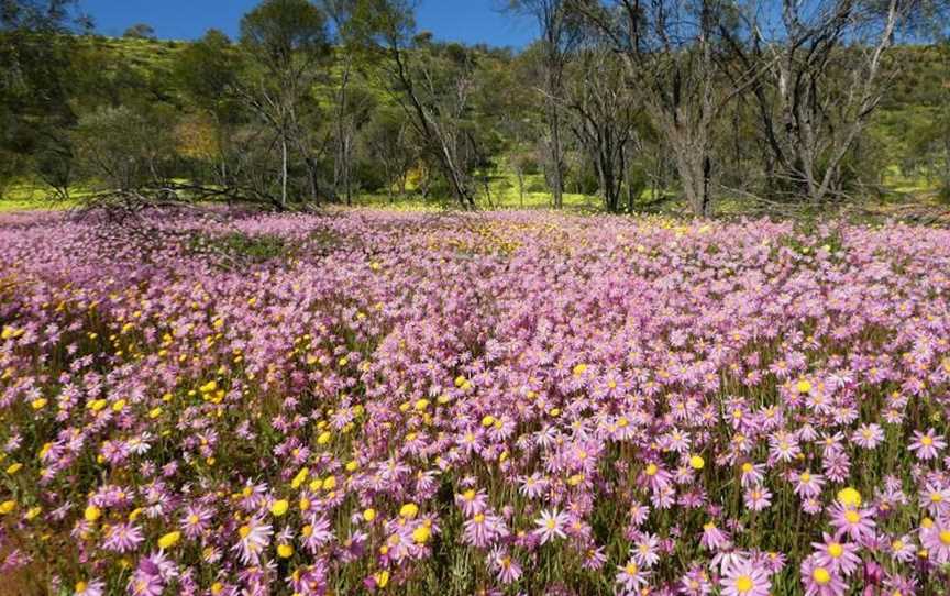 Coalseam Conservation Park Plateau Loop Trail, Attractions in Mingenew