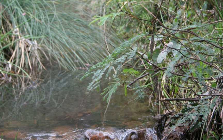 Lane Poole Reserve