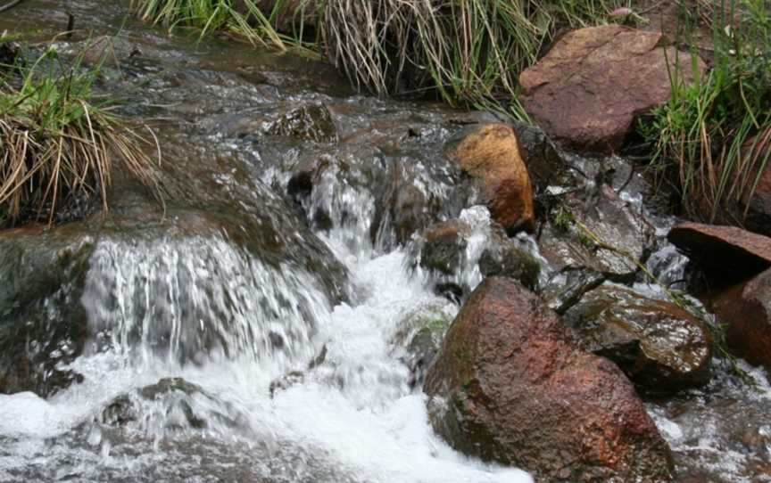 Lane Poole Reserve