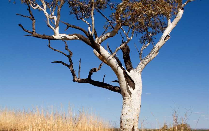 Millstream Chichester National Park