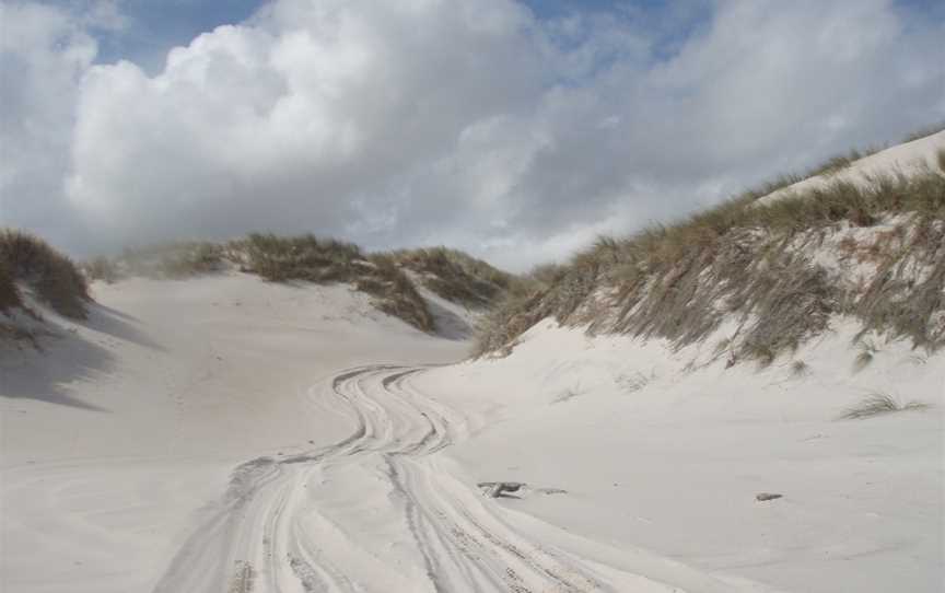 Warren Beach Track