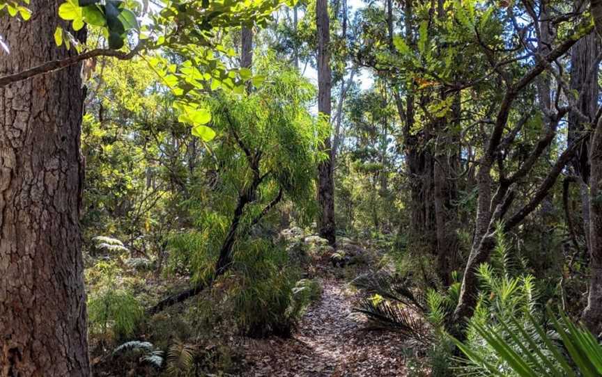 St John Brook Conservation Park, Attractions in Barrabup